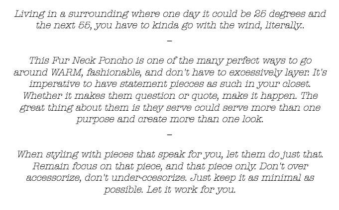 screen-shot-2017-01-07-at-2-33-57-pm